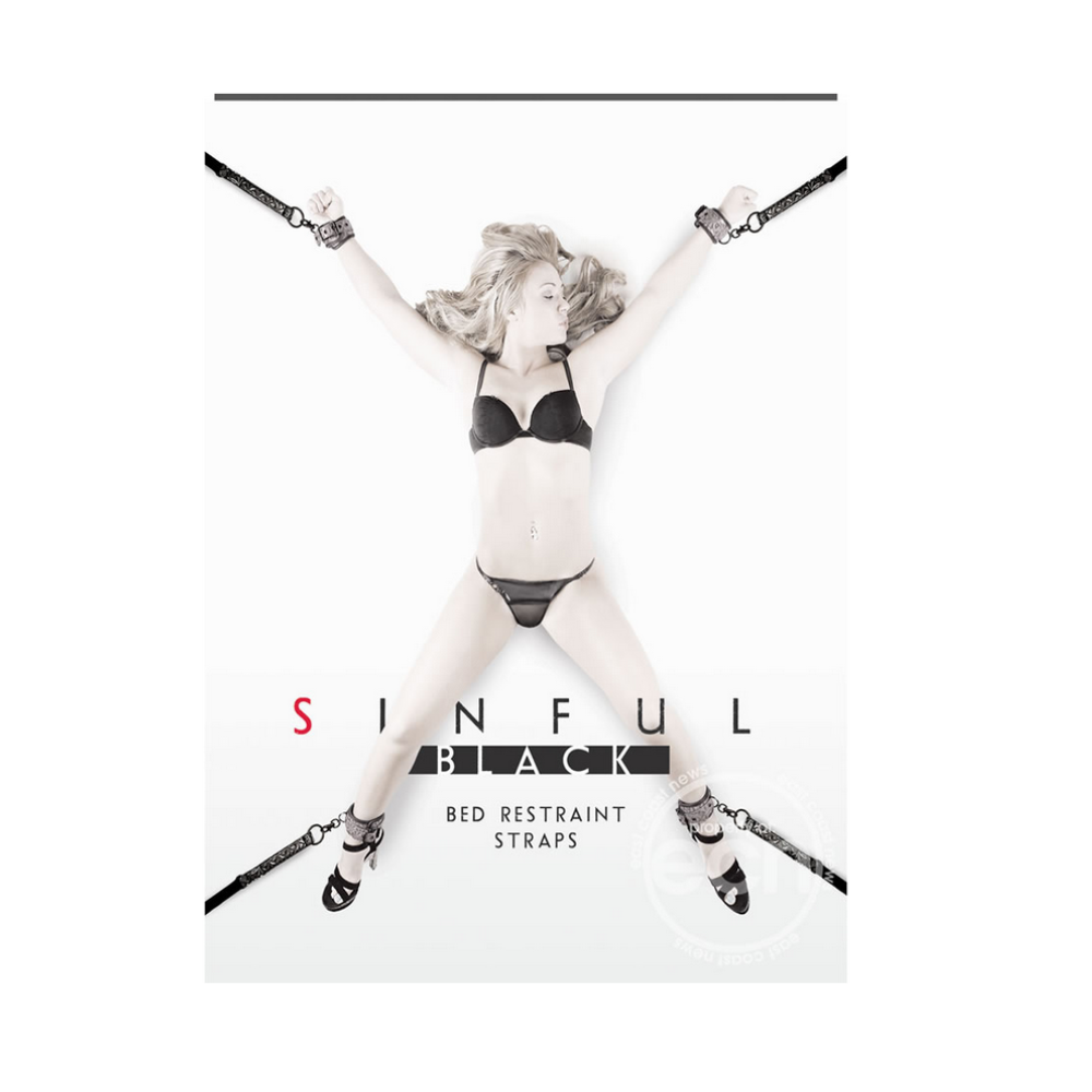 Bed Restraint System